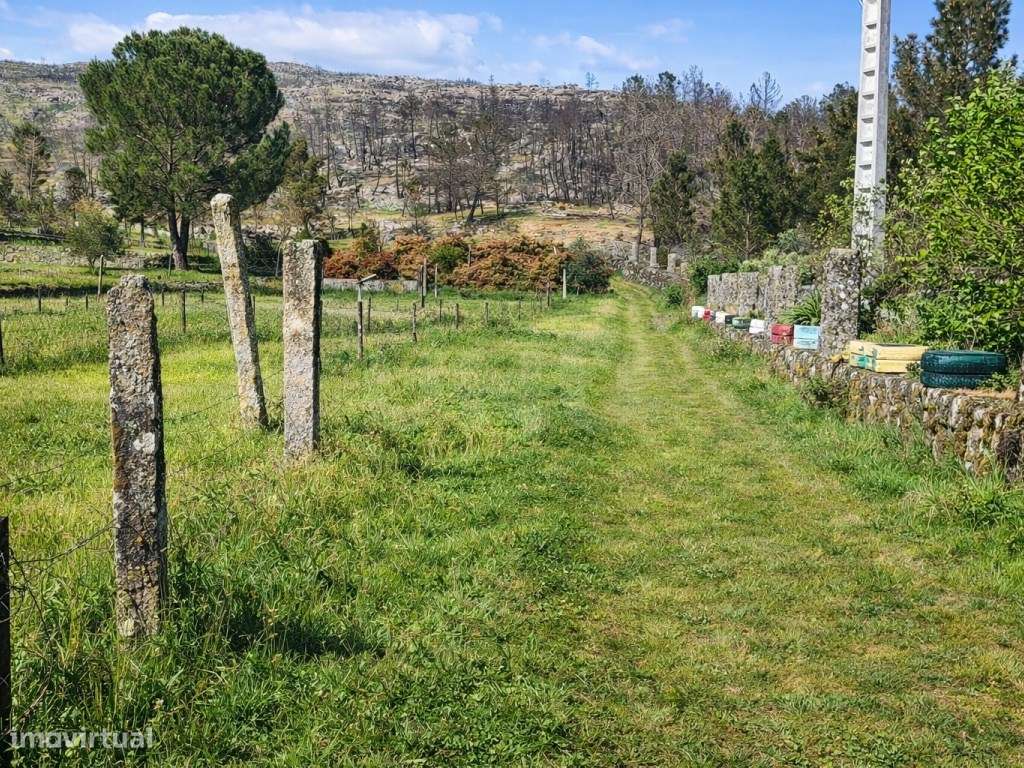 ATIVO TURÍSTICO + QUINTA DE EXCEÇÃO NA BEIRA ALTA-37
