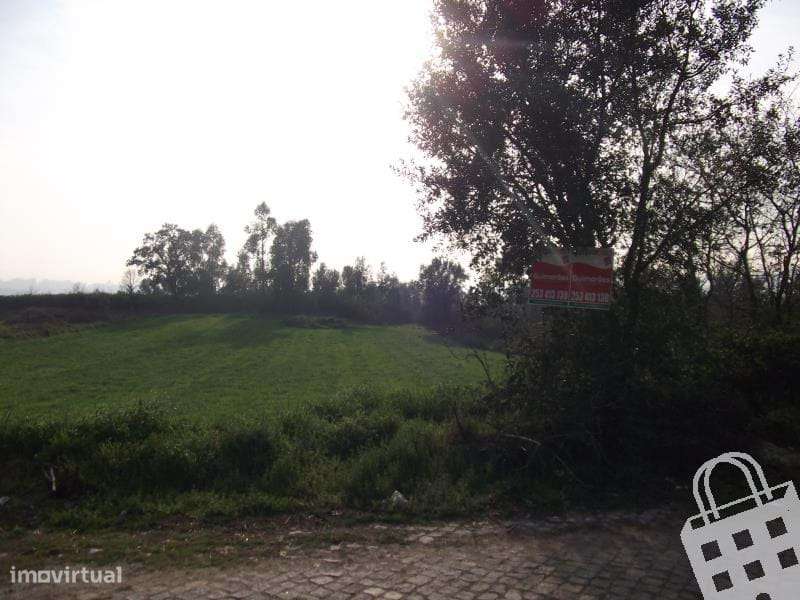 Loteamento para moradias - Vende-se Terreno - Grande imagem: 3/8