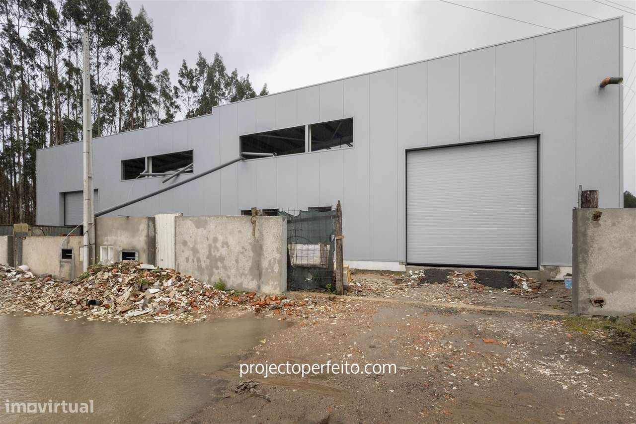 Armazém  Venda em Grijó e Sermonde,Vila Nova de Gaia - Grande imagem: 3/8