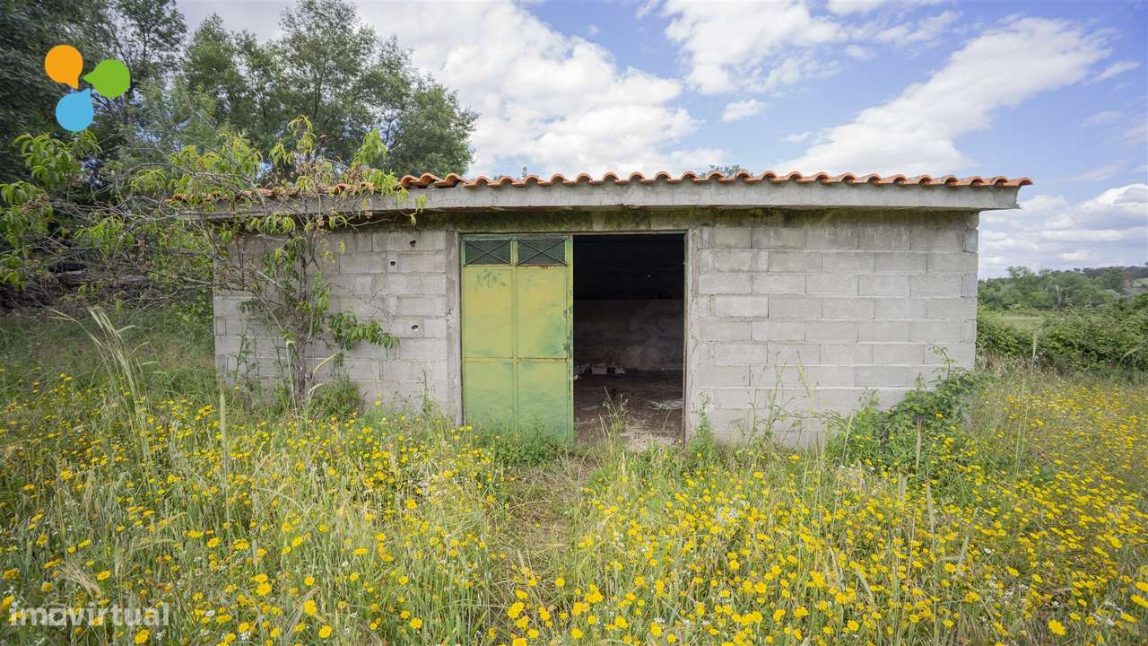 Quinta - Boidobra-14