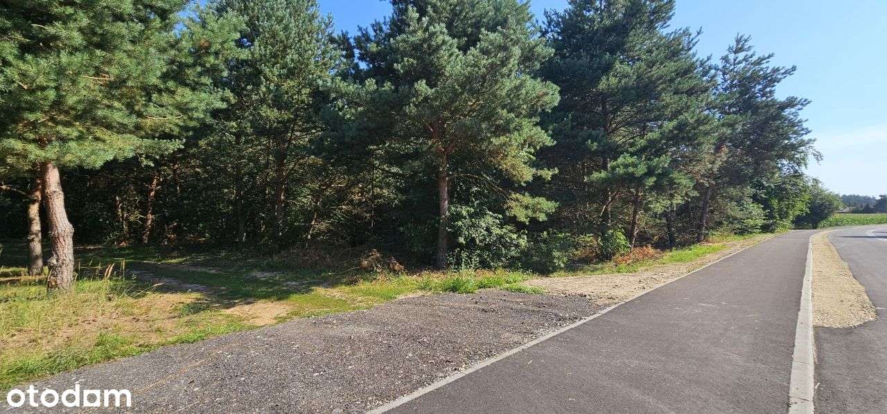 Działka Kucoby 160 m od jeziora! - Pełny obrazek: 5/8