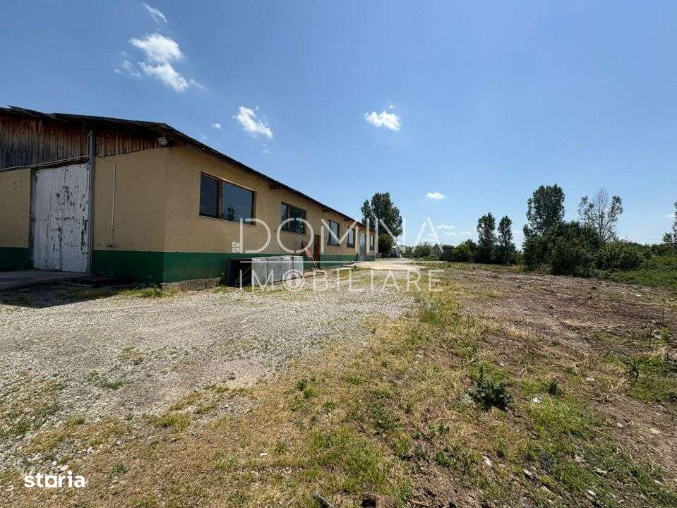 Complex industrial *hala 682 mp + teren 2,5 ha* - Tetila - Imagine principală: 3/10