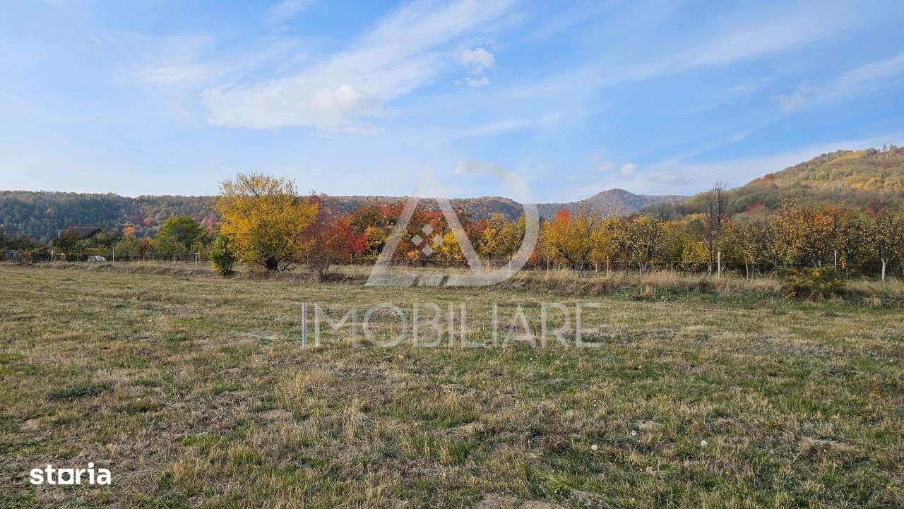 Teren intravilan – Crasna, Gorj - Imagine principală: 5/6