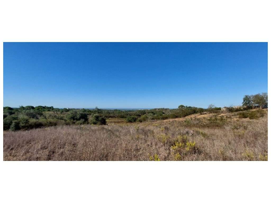 QUINTA, vista mar (5.575ha)-14