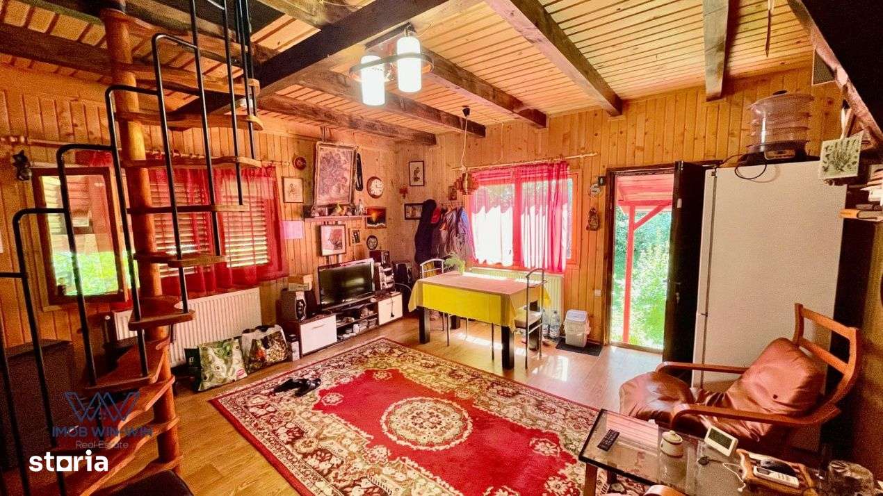 Casa Vacanta Babana!-8