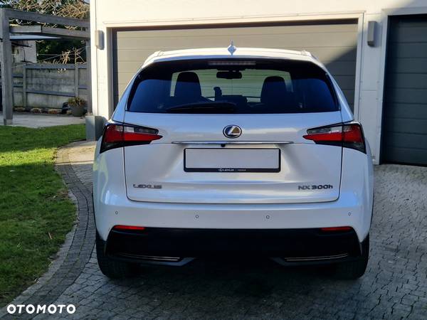 Lexus NX - 12