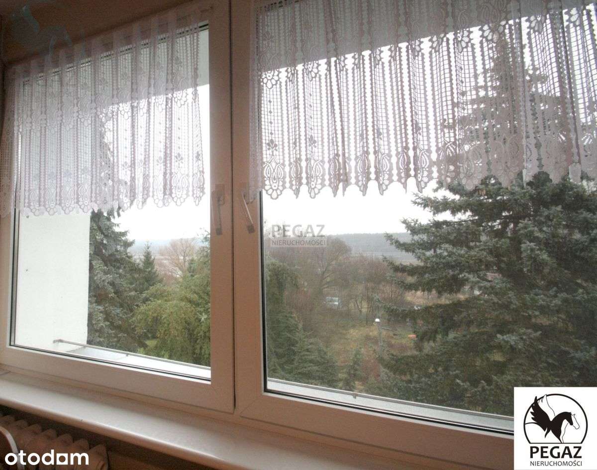 Piękne, wysokie mieszkanie w Kamienicy-11