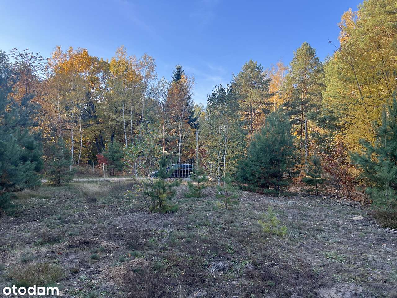 Działka z WZ z linią brzegową Mieni i Rezerwatem Świder - Pełny obrazek: 5/17