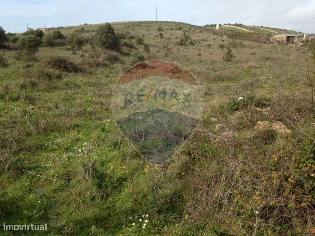 Terreno T0 para venda - Grande imagem: 3/5