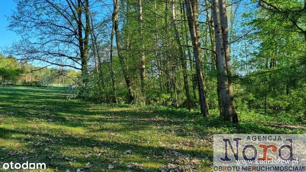 Działka w pobliżu Augustowa - Pełny obrazek: 5/12