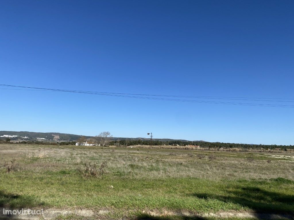 Terreno de regadio com 8,17 hectares