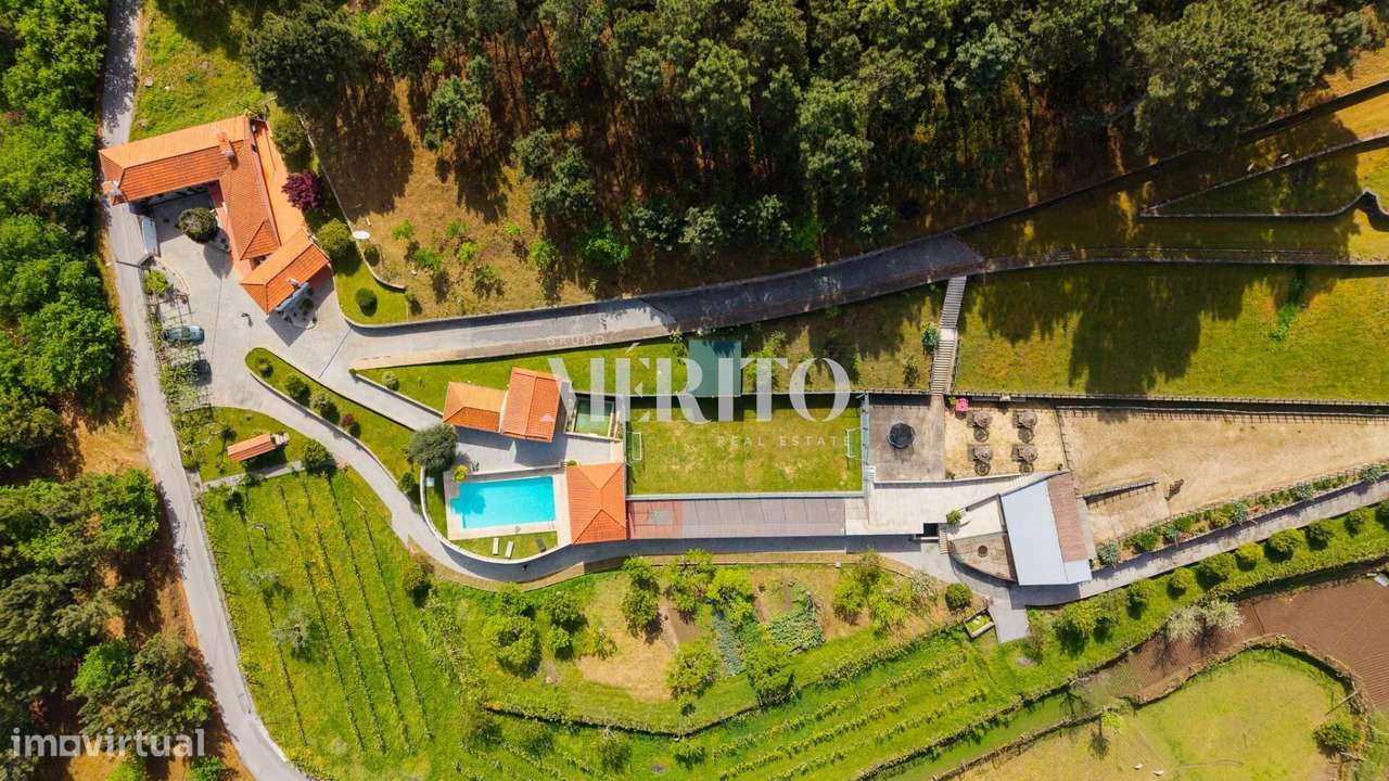 Quinta no Coração do Douro – Cinfães, Viseu-38