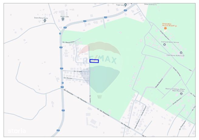 De vânzare teren intravilan 1035 mp Paleu / Strada Zorilor-3