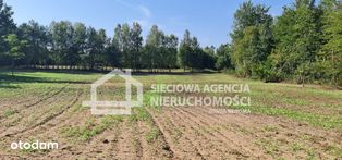 Atrakcyjna działka budowlana 3001 m2, Nowy Wiec