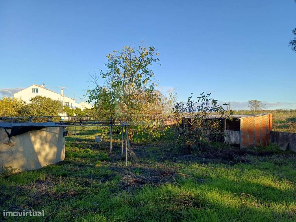 Excelente oportunidade - Quinta com 3 habitações em Grândola-22