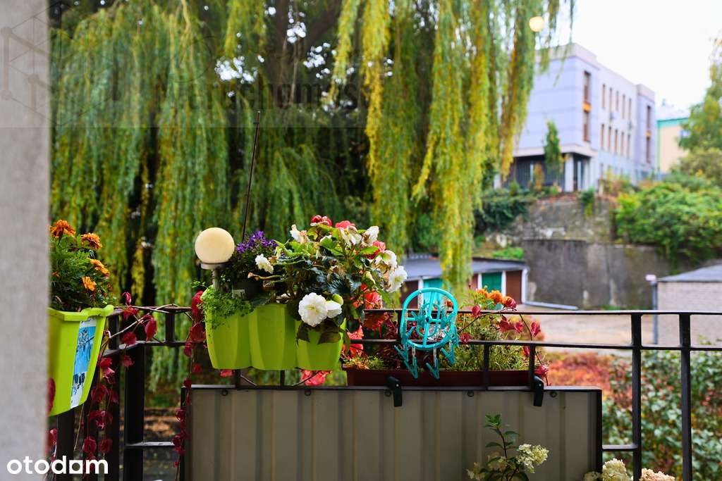 3 pokoje/ul. Czechowska/blisko UM, KUL, UMCS-11