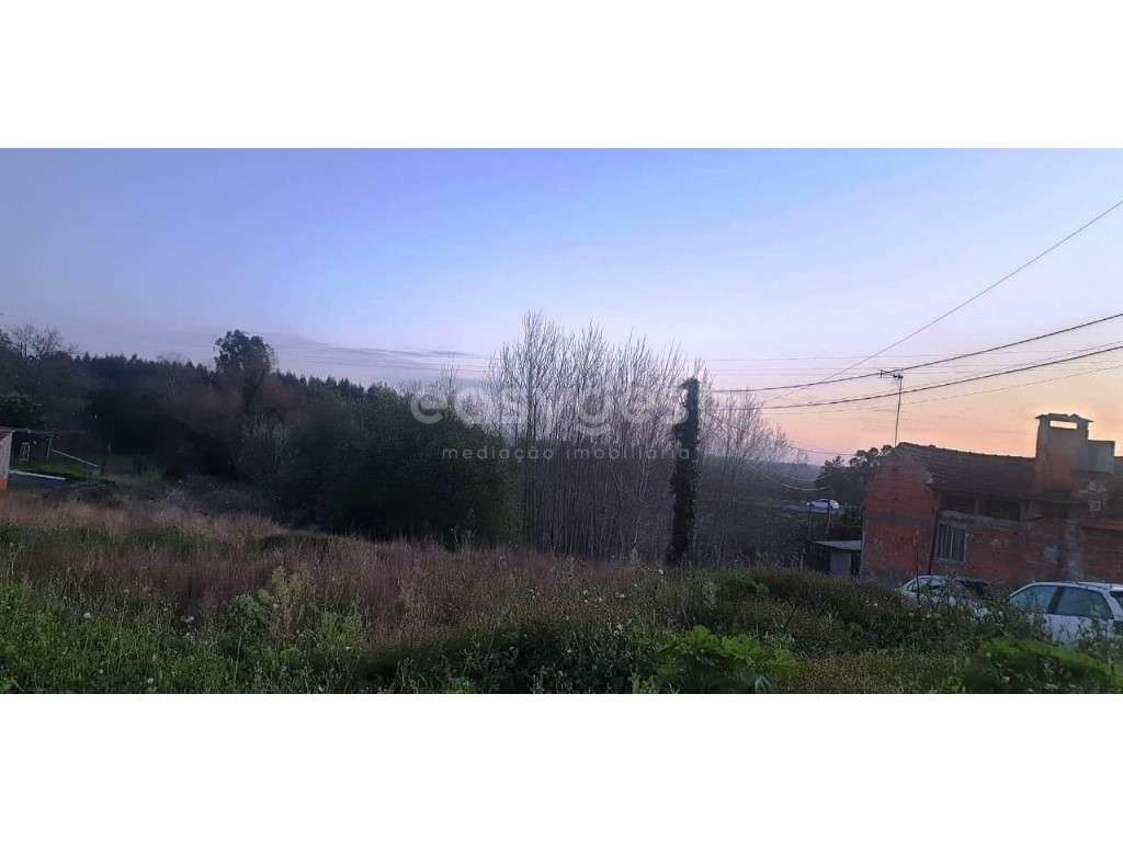 Espetacular Terreno propicio para construção e cultivo em Mamodeiro - Grande imagem: 3/12