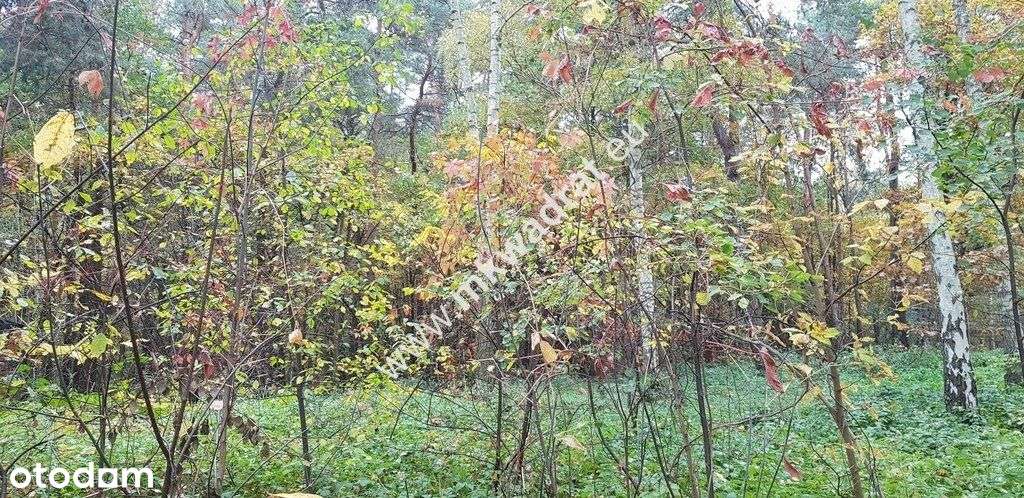⭐⭐⭐⭐ Działka budowlano-leśna z M-P-Z-P ⭐⭐⭐⭐ - Pełny obrazek: 5/5