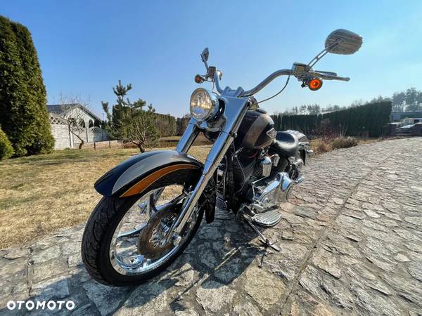 Harley-Davidson Softail - 31