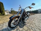 Harley-Davidson Softail - 31