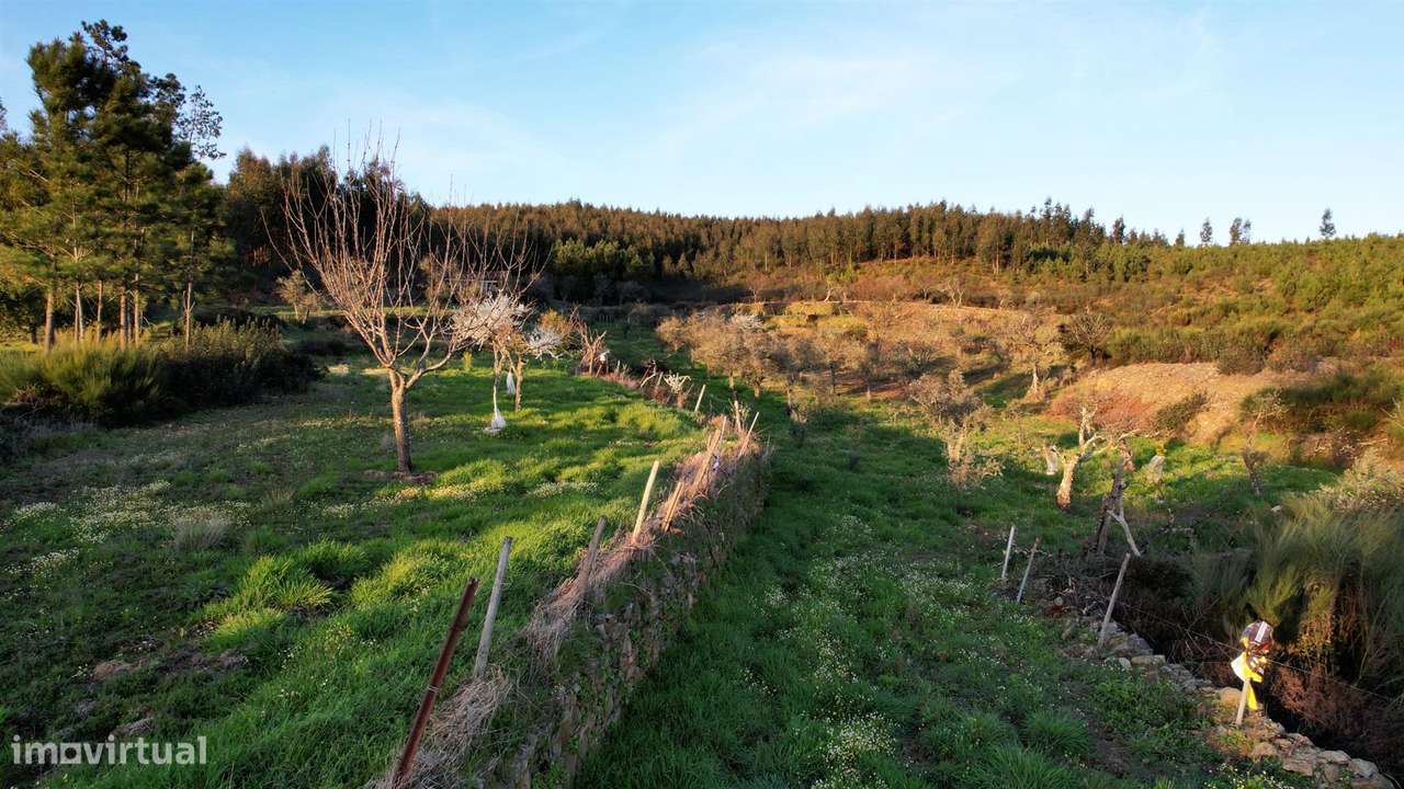 Quinta - Grande imagem: 5/19