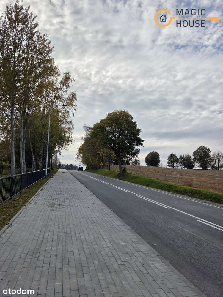 mg667824 - Pełny obrazek: 4/10