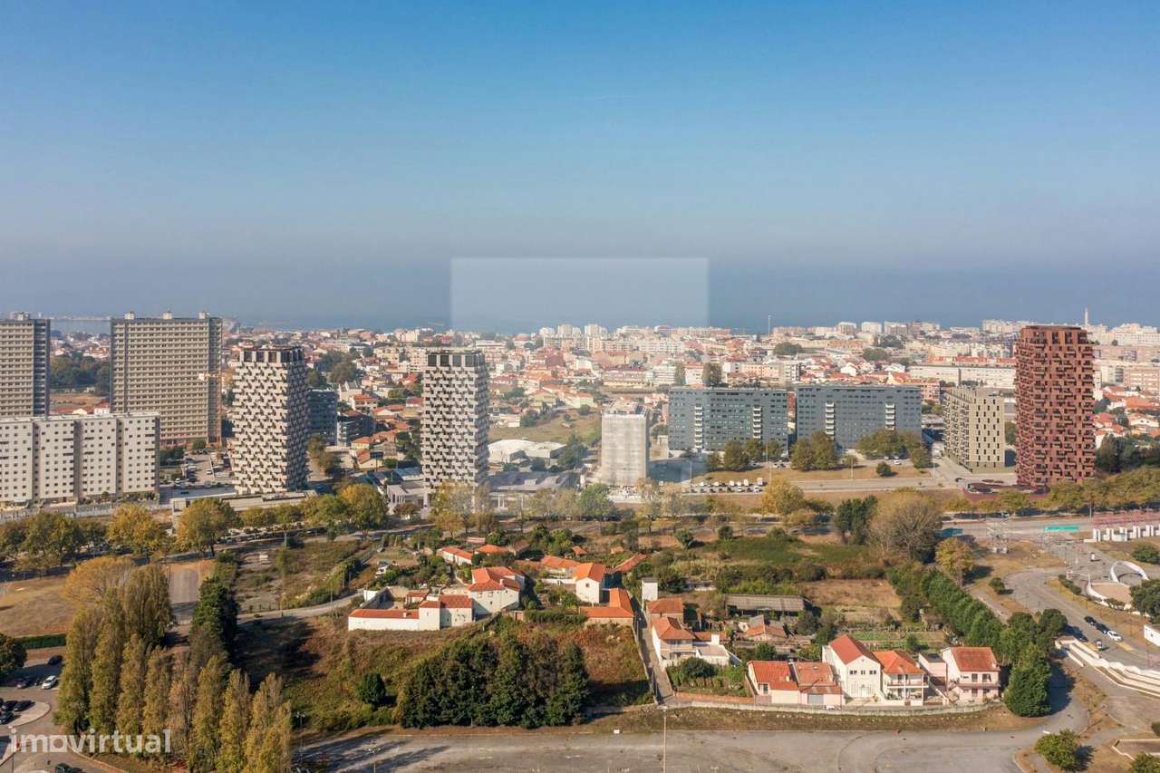 Flower Tower Camellia - Grande imagem: 4/6