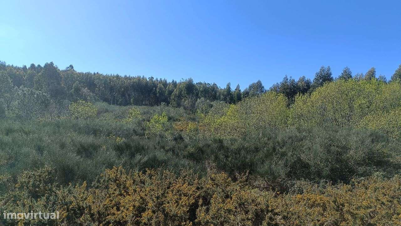 Propriedade Rústica em Santo Tirso-7