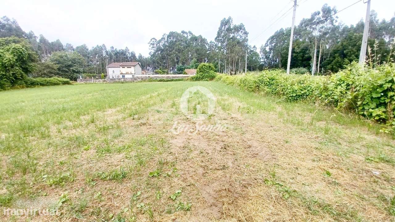Terreno de 2.500m2 e 58m frente para construção de Moradias em S. P... - Grande imagem: 4/17