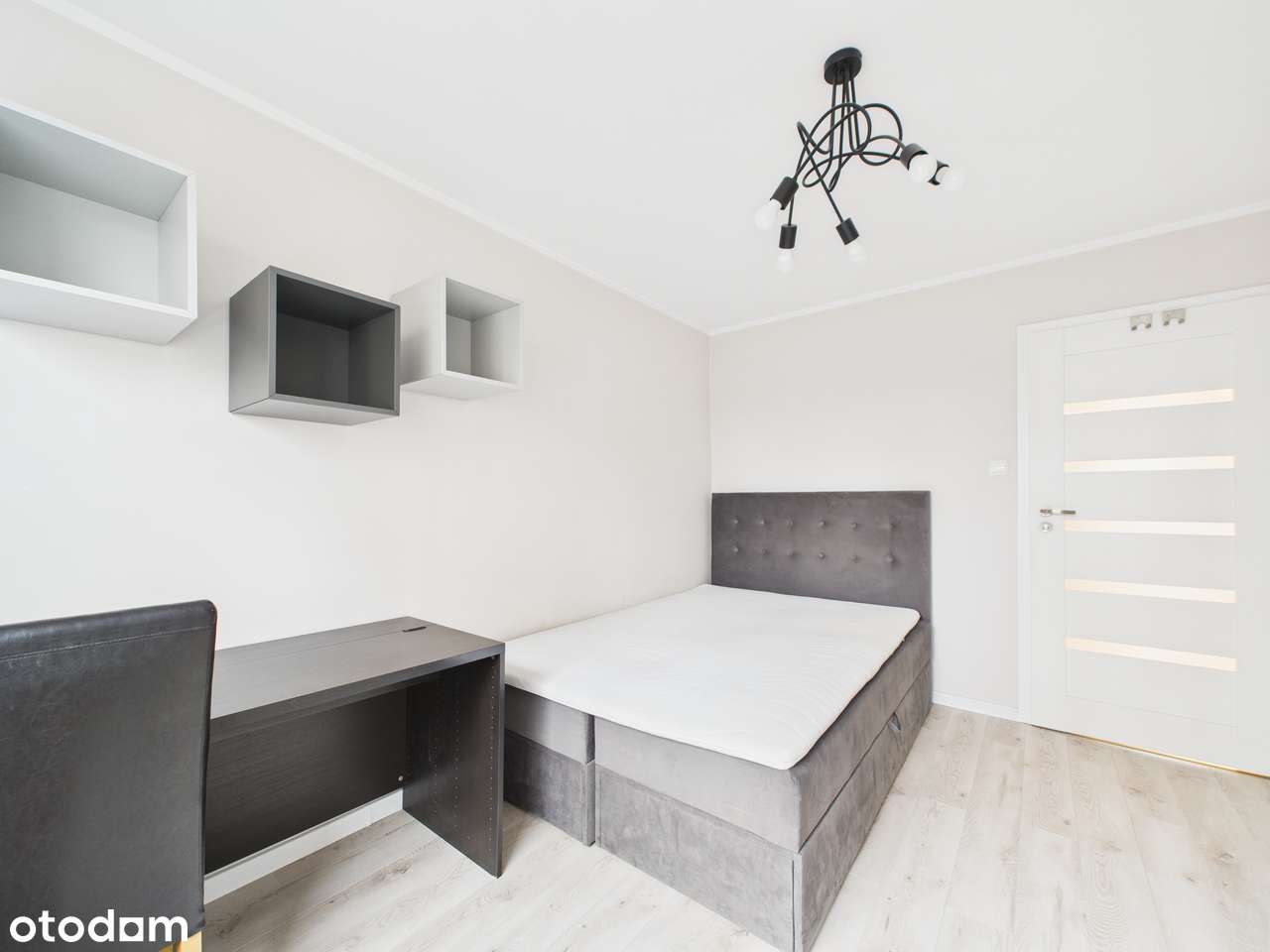 4 pok. mieszkanie na sprzedaż z DWOMA BALKONAMI, Sosnowiec Centrum-4