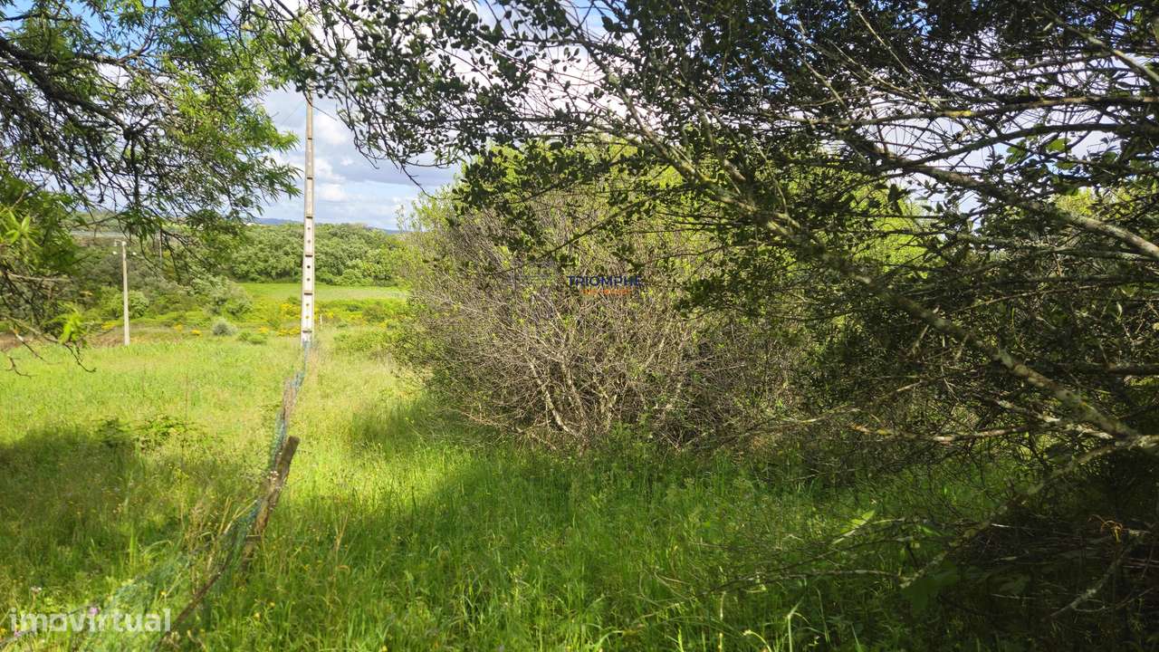 Terreno Rústico Urbanizável, Paialvo, Tomar - Grande imagem: 5/11