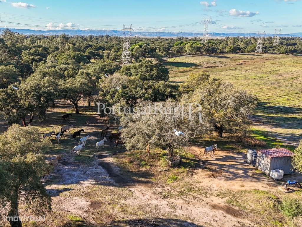 Herdade de 60 hectares para criação bovina e equina perto de Lisboa-34