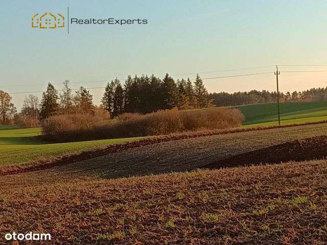 Bez pozwolenia na budowę – postaw domki i zarabiaj - Pełny obrazek: 4/6