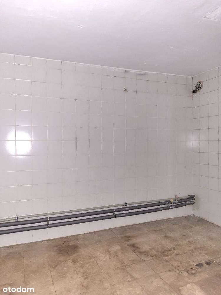 Magazyny / warsztat/ biuro również spożywczy - Pełny obrazek: 3/3