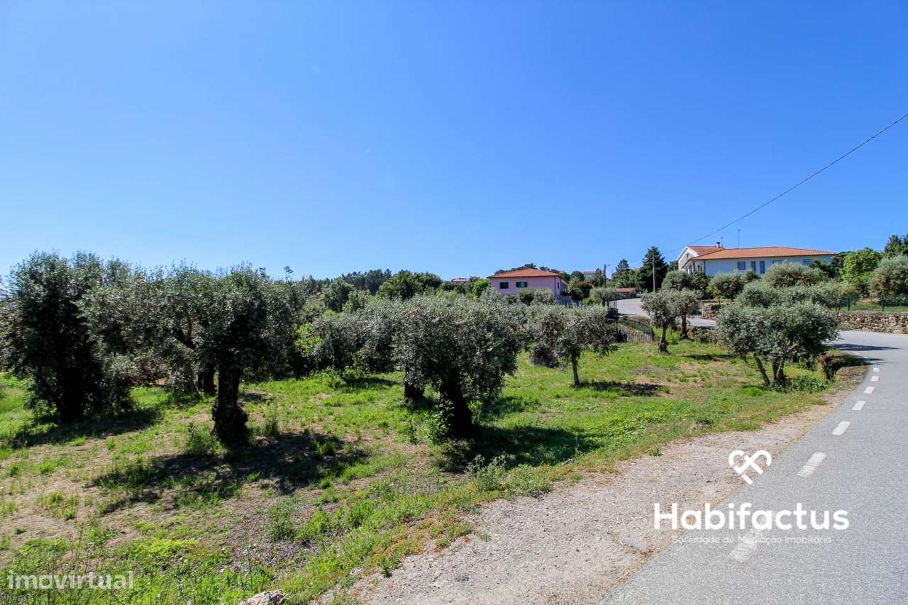 Terreno com viabilidade para construção a 9 km de Mangualde - Grande imagem: 2/6