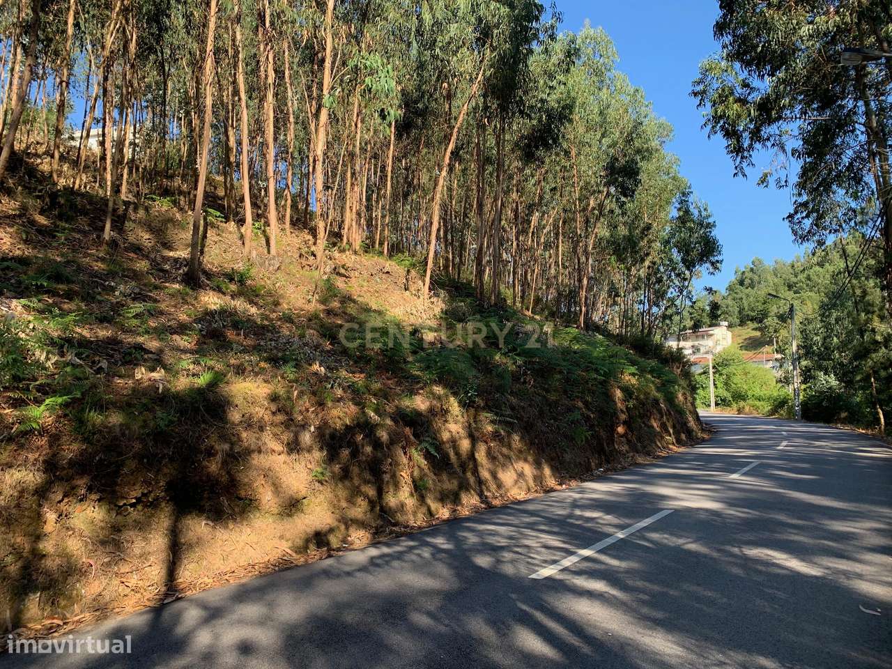 Terreno à venda em Lordelo, Paredes - 150.000€ - Grande imagem: 5/7