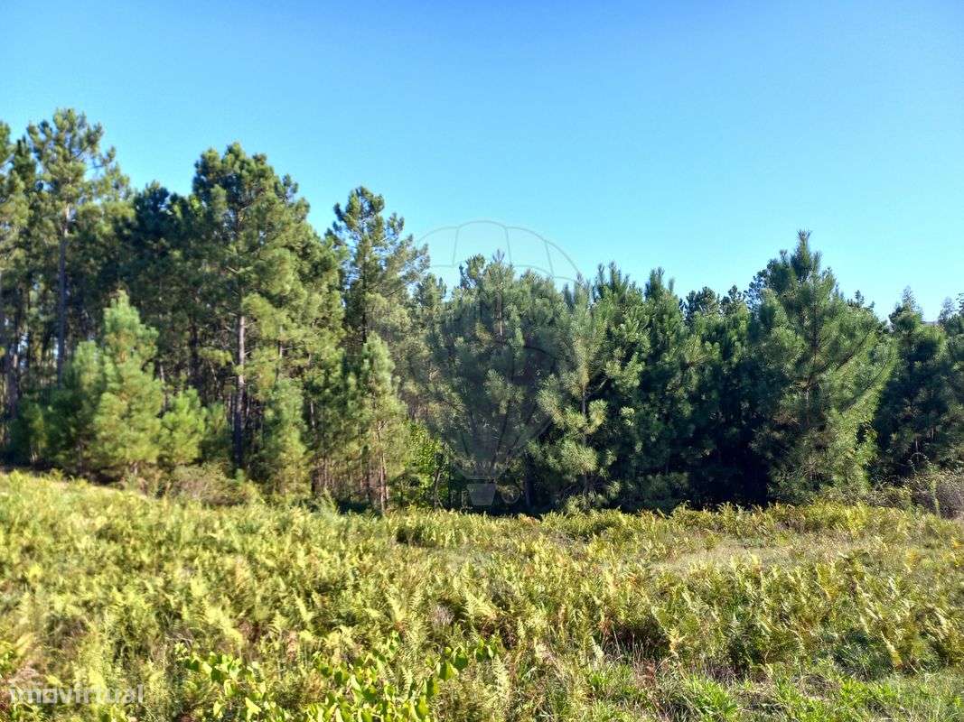 Terreno  para venda - Grande imagem: 3/3