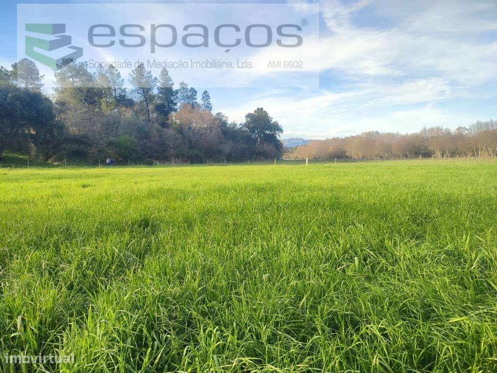 Terreno rústico, Povoa Rio Moinhos, - Grande imagem: 2/23