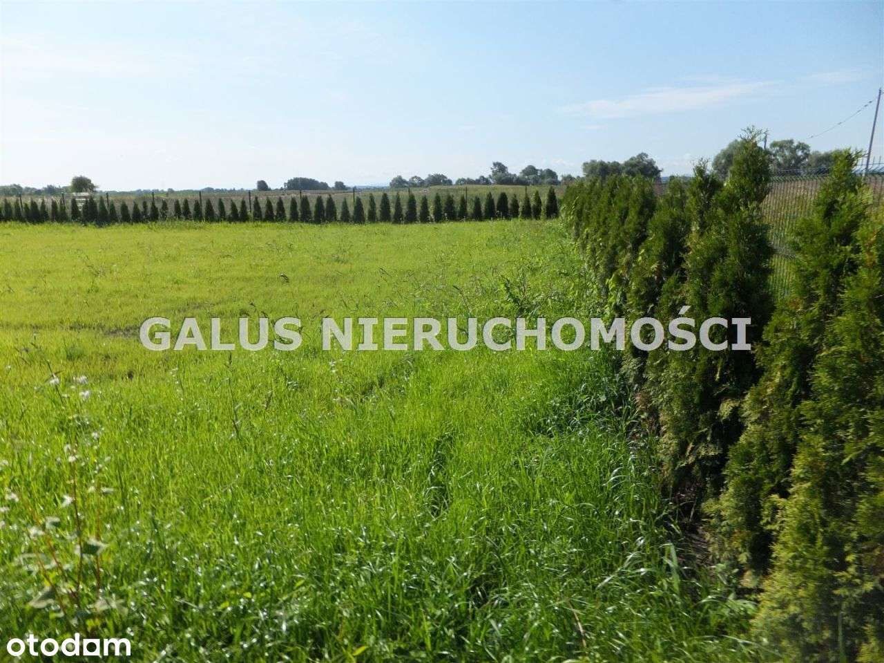 Dzialka ul. Podstawie - Pełny obrazek: 4/6