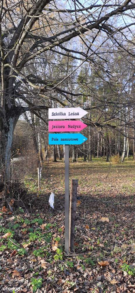 Piasutno. Działka rekreacyjna-16