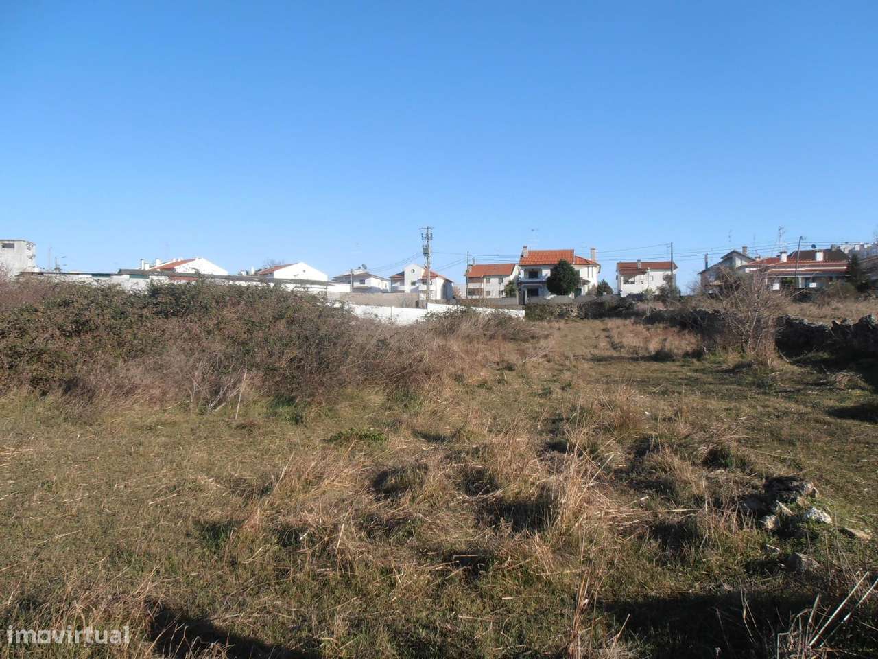 Quinta-7
