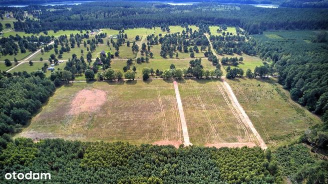 Dołgie, działka budowlana 830 m2, cicha okolica-7