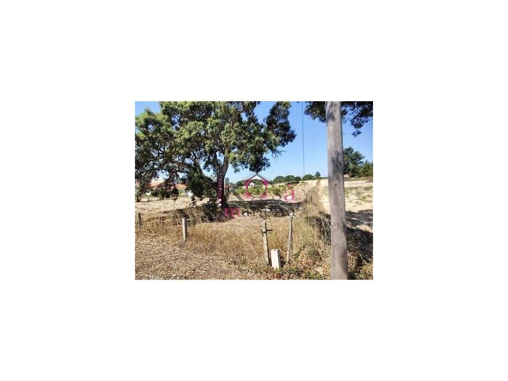 4 Moradias em Melides, exelente para investimento - Grândola-12