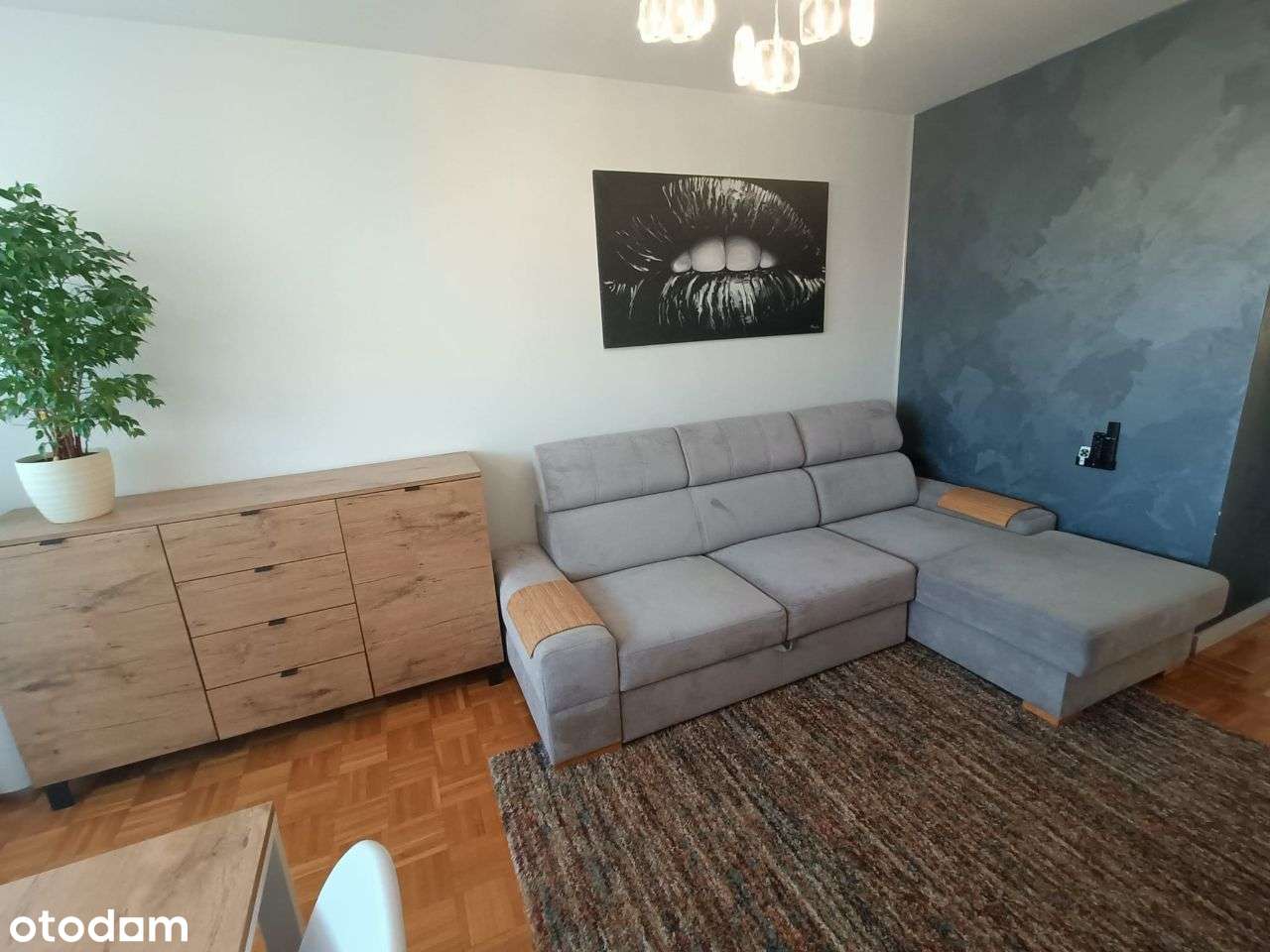 Mieszkanie 3pok urządzone 54m2 oddzielna kuchnia - Pełny obrazek: 1/19