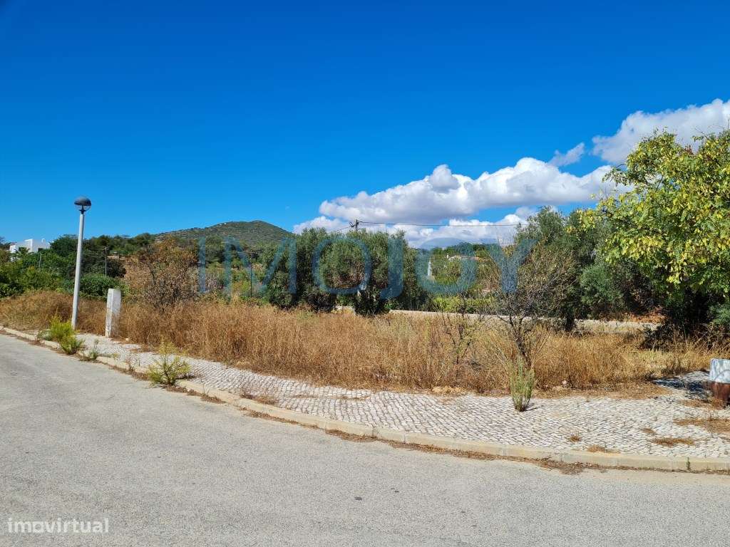 Excelente Terreno Urbano com projeto aprovado - Grande imagem: 2/27