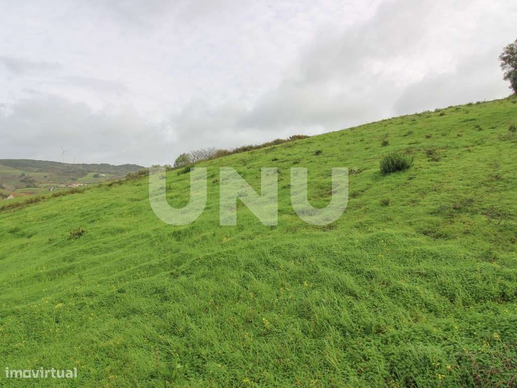 Arrecadação e Terreno Rústico, em Arruda dos Vinhos! - Grande imagem: 4/9