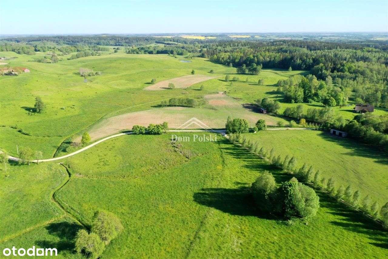 Działka 6,0945 ha - Szeszki, gm. Kowale Oleckie - Pełny obrazek: 4/20