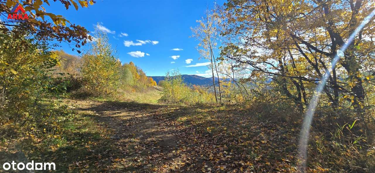 Widokowa działka z panoramą Beskidu Wyspowego - Pełny obrazek: 4/8