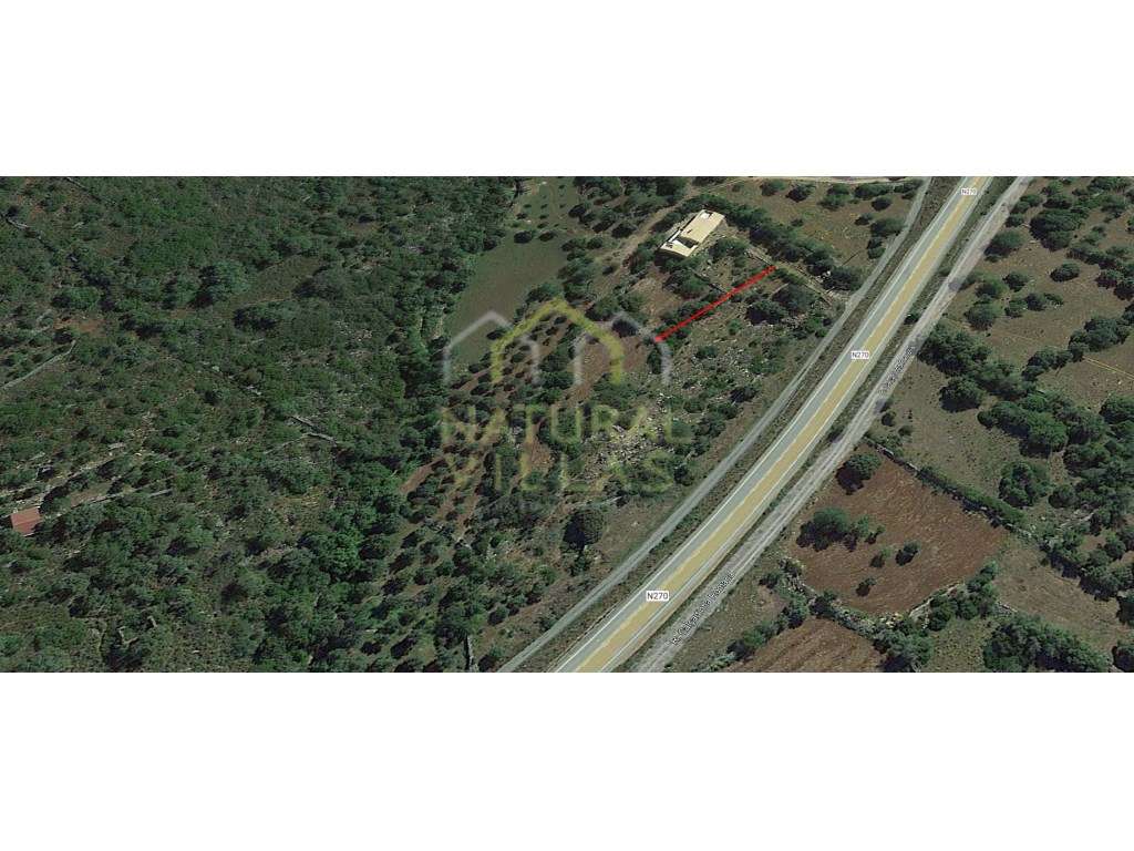 Terreno Rústico com Boa Exposição Solar a Sul de São Brás de Alportel - Grande imagem: 3/3