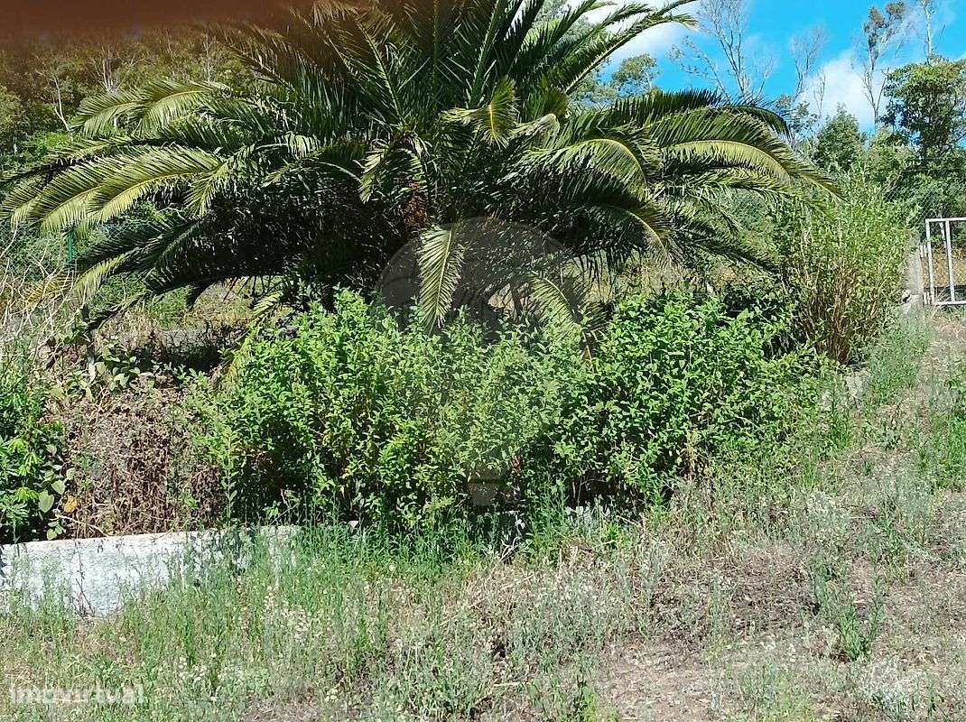 Quinta  para venda - Grande imagem: 2/10